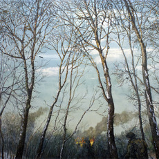 Chester Arnold