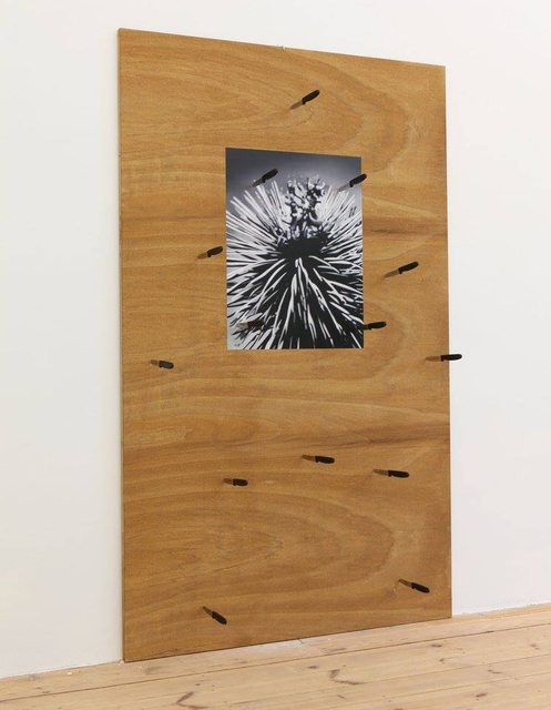 Thorsten Kirchhoff, ‘Questione spinosa’, 2018, Montoro12 Contemporary Art