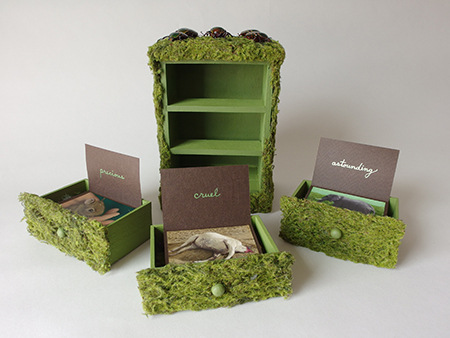 Maria Muller, ‘Moss Box’, Pucker Gallery