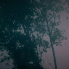 Tang Chao
