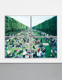Picnic Allée