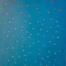 Harry Rudham