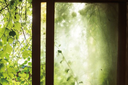 Park Ki Ho, ‘Donuimun’, 2013, Photography, Three Shadows +3 Gallery