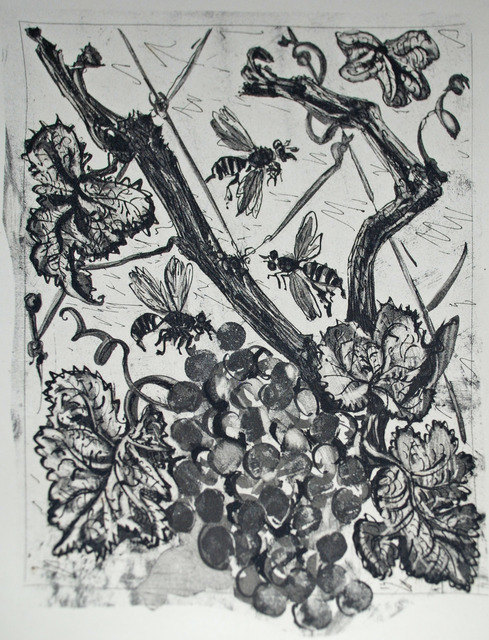 Pablo Picasso, ‘La Guêpe (The Wasp)’, 1936, Print, Sugarlift aquatint, drypoint, and scraper, John Szoke