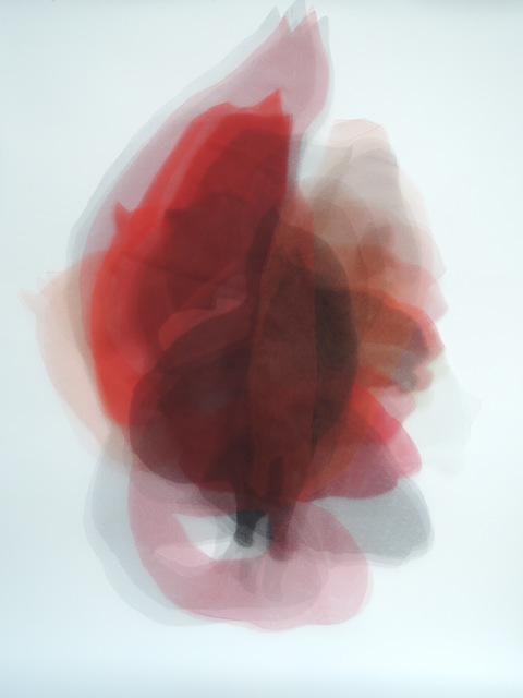 Teresa Giarcovich, ‘Visión con forma de gato’, 2015, PIEDRAS