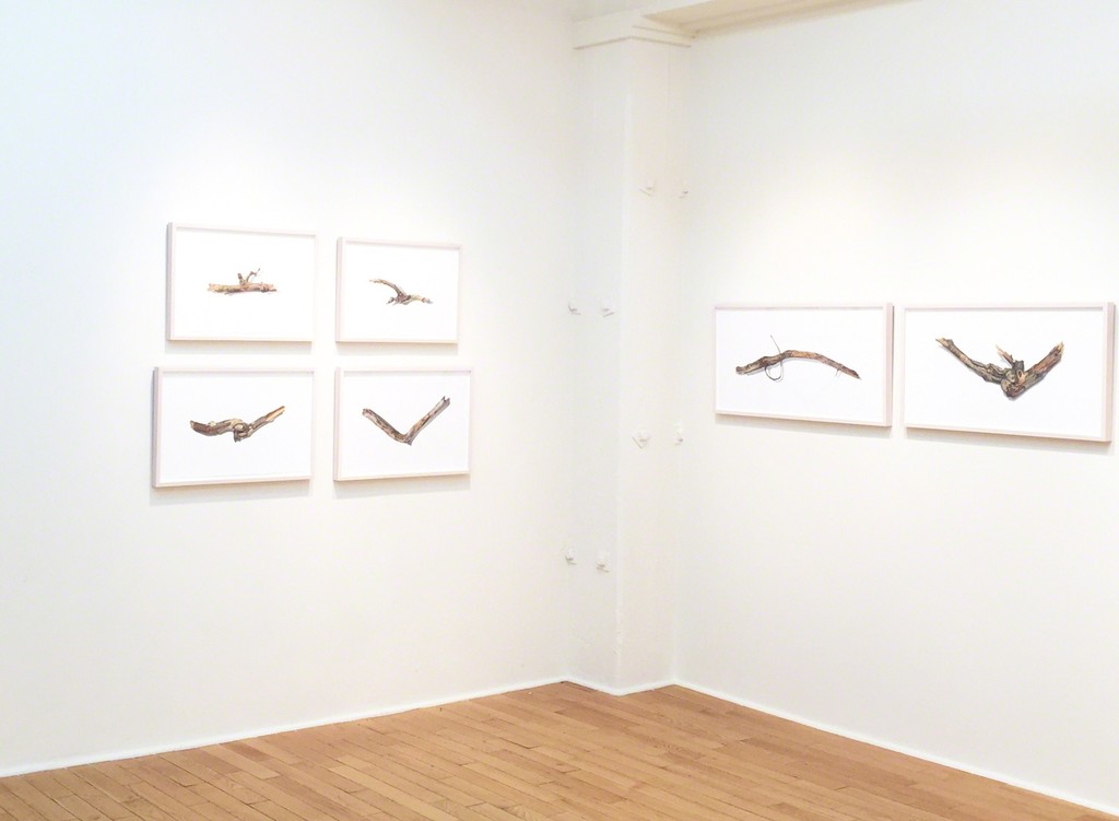 David Morrison 'Sticks'. Installation Shot. David Morrison 'Sticks'. Installation Shot.