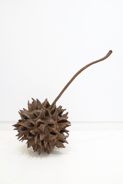 Ming Fay 費明杰, ‘Sweet Gum Seed’, 1983, Sapar Contemporary