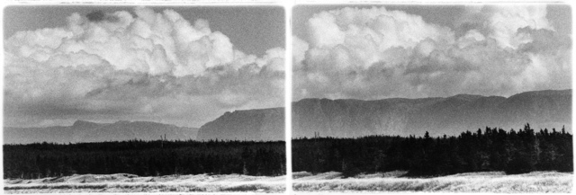 Carol Marino, ‘Remains of the Day’, 2000, Photography, Archival pigment print, Corkin Gallery