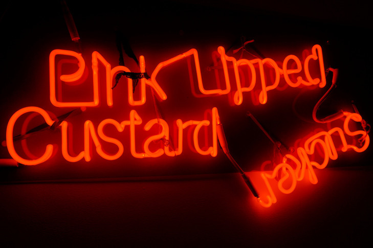 JASON RHOADES
"Pink Lipped Custard Sucker", 2003 JASON RHOADES
"Pink Lipped Custard Sucker", 2003