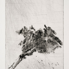 Lucas Reiner