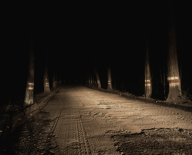 Szymon Rogiński, ‘Lower Silesia #03’, 2004, Piktogram
