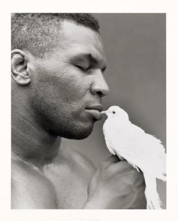 Michel Comte - Mike Tyson mit Taube. Interview, Training Camp, Ohio