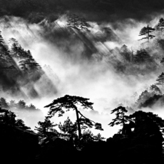 Wang Wusheng