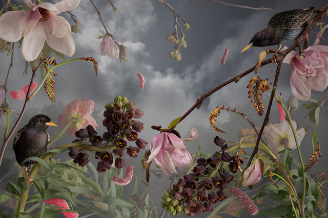 Jason DeMarte, ‘Invasive Apathy’, 2018, Richard Levy Gallery
