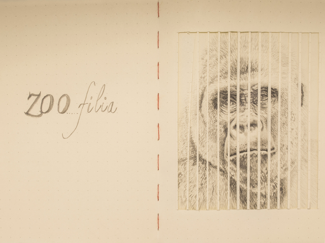 Carlos Alarcón, ‘Paradoxes - 0003’, 2019, Beatriz Esguerra Art