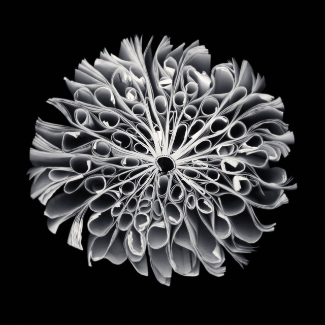 Cara Barer, ‘Myth’, 2013, KLOMPCHING GALLERY