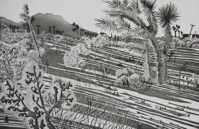 Kate Crook, ‘Joshua Tree #5’, 2017, Print, Lithograph, edition 50, Somerset White paper, acid free, Asher Grey Gallery
