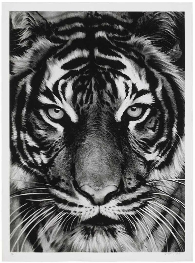 Robert Longo - Untitled (Tiger Head 3)