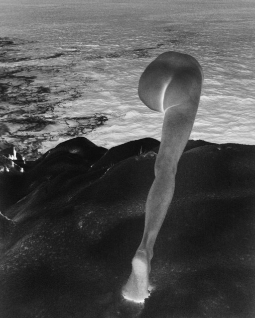 【WATERLINE】ARNO RAFAEL MINKKINEN 写真集 Minkkinen