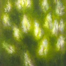 Loren MacIver