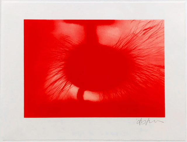 Anish Kapoor Untitled 2014 Artsy Anish Kapoor Untitled 2014 Artsy