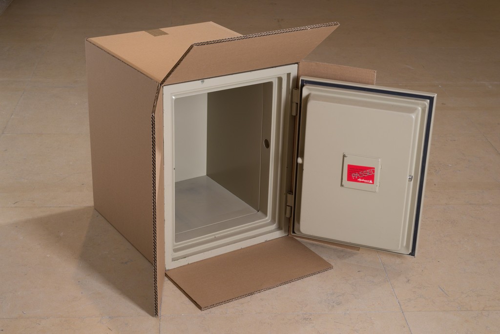 Wilfredo Prieto, Safe Box, Hiding Wood in Trees, 2014, CCA. Photo by Youval Hai. Wilfredo Prieto, Safe Box, Hiding Wood in Trees, 2014, CCA. Photo by Youval Hai.