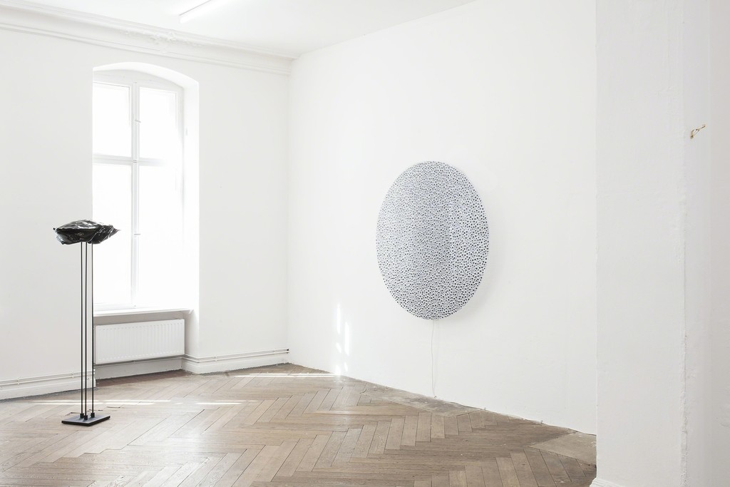 Exhibition view, Ein Haus in Dahlem, 2015
Photo: Otto Felber, Berlin
Courtesy the artist and EIGEN + ART Lab Exhibition view, Ein Haus in Dahlem, 2015
Photo: Otto Felber, Berlin
Courtesy the artist and EIGEN + ART Lab