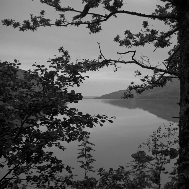 Astrid Kruse Jensen, ‘The Lake’, 2015, Photography, Archival fiber print, Martin Asbæk Gallery