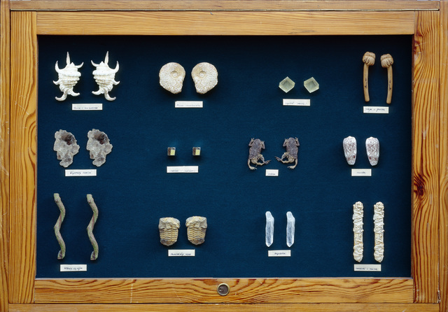Nicolas Grospierre, ‘Collection of natural doubles’, 2008, Alarcón Criado