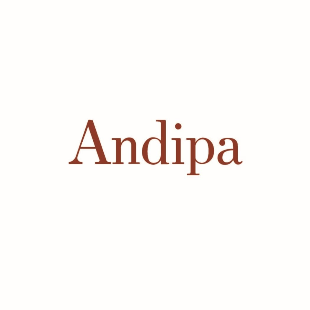 Andipa logo
