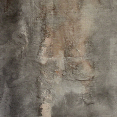 Yueying Zhong