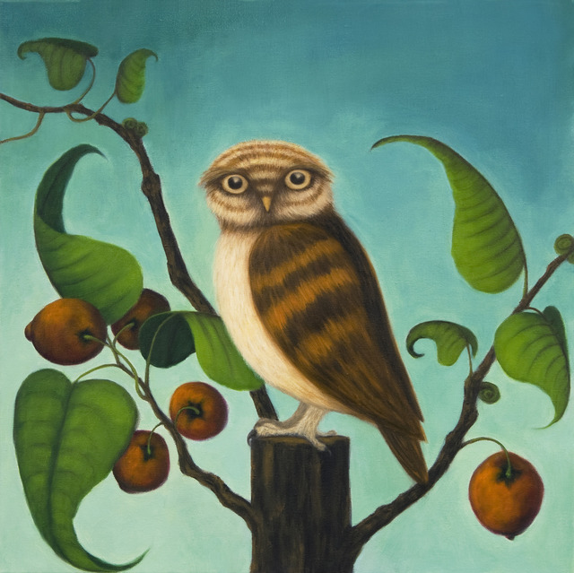 Ruth Bauer, ‘Pollus Noctuam’, 2013, Clark Gallery