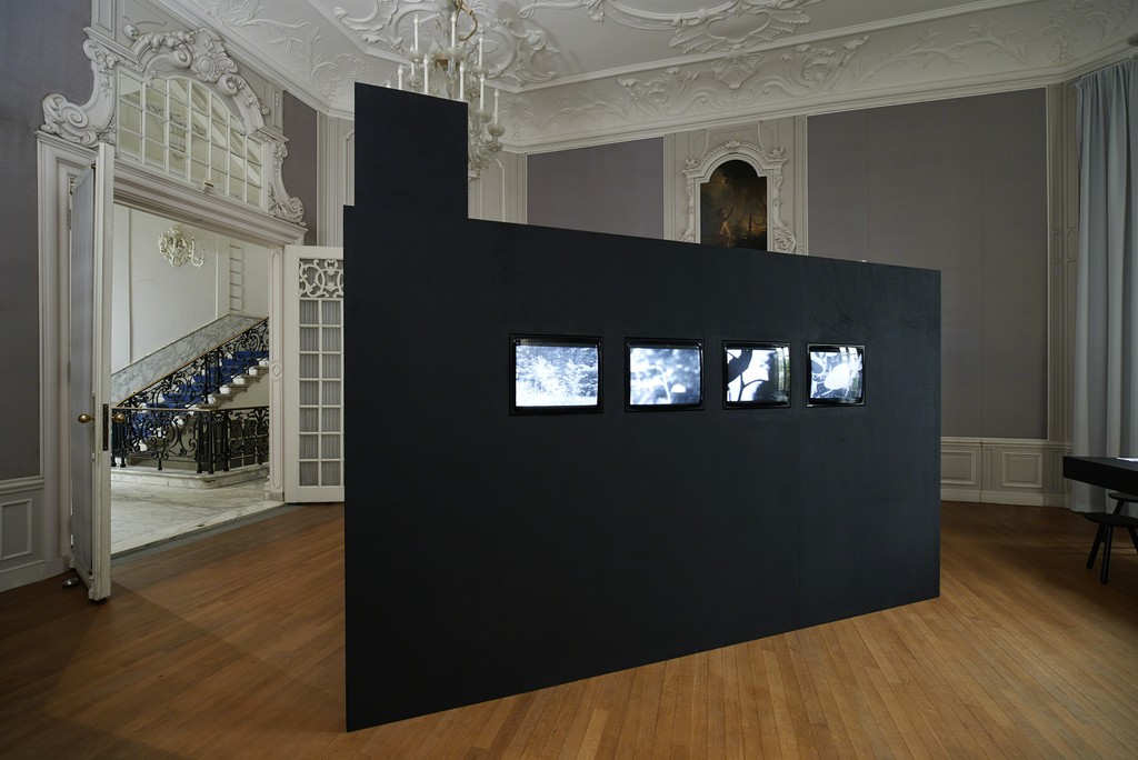 Davidson Gigliotti, Quaking Aspens, 4-channel video installation 19:01 min., 1972 Davidson Gigliotti, Quaking Aspens, 4-channel video installation 19:01 min., 1972