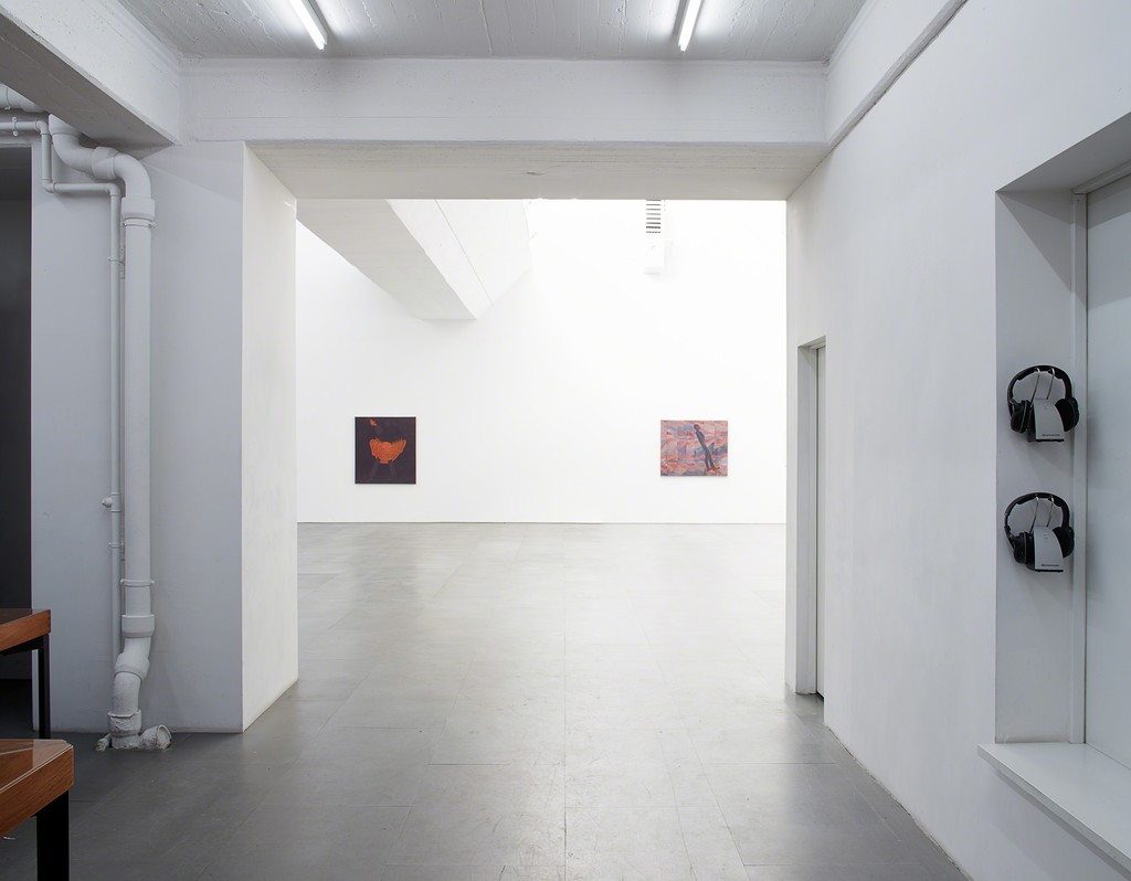 Marcellvs L., Dreamlessness, 2015, Installation view Marcellvs L., Dreamlessness, 2015, Installation view