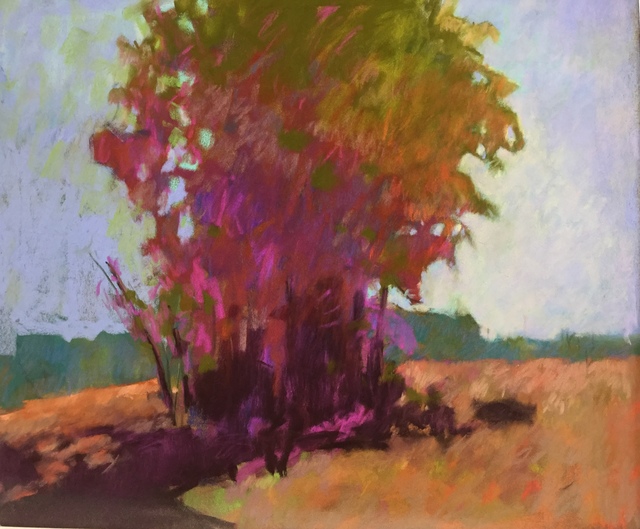 Julie Friedman, ‘Shade’, 2018, Painting, Pastel on sanded paper, J. Cacciola Gallery