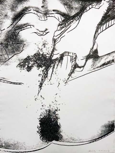 Andy Warhol, ‘Sex Parts II.177’, 1978, Print, Screenprint on HMP paper, Hamilton-Selway Fine Art