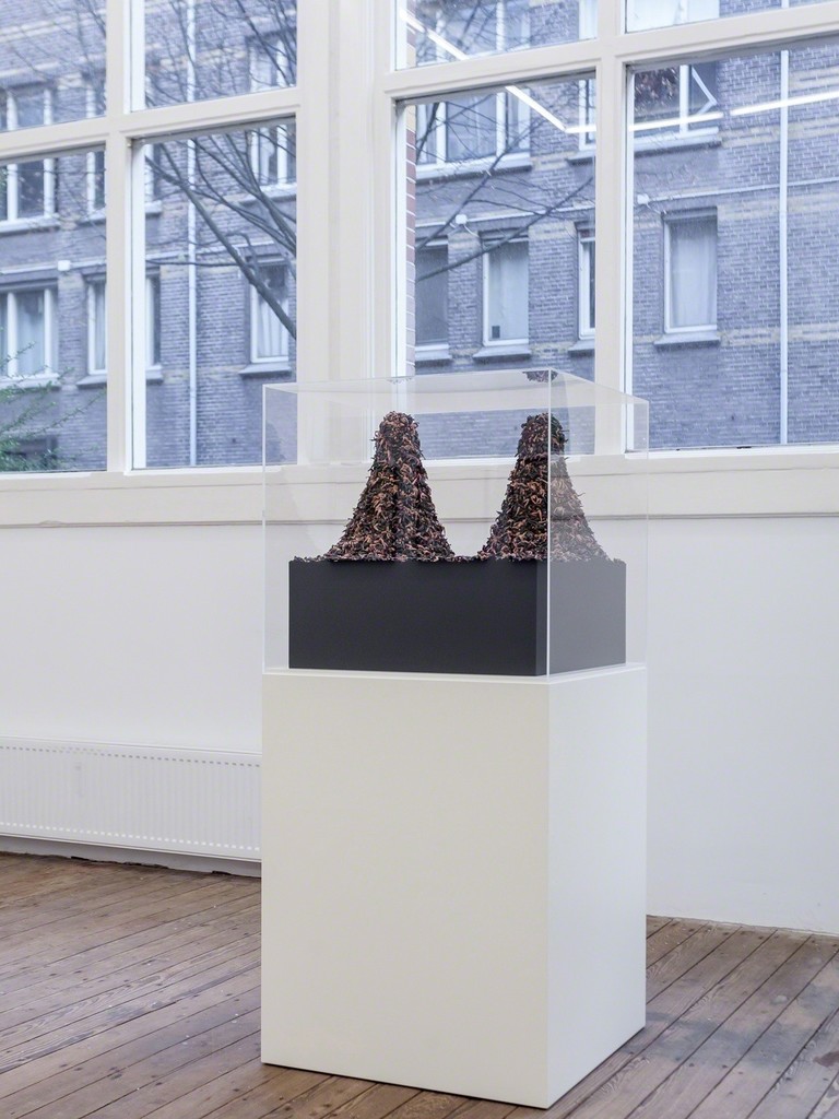 © Jake and Dinos Chapman. Courtesy Galerie Gabriel Rolt. © Jake and Dinos Chapman. Courtesy Galerie Gabriel Rolt.