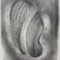 Stephen Talasnik