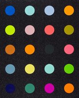 Damien Hirst - Methylamine-13c