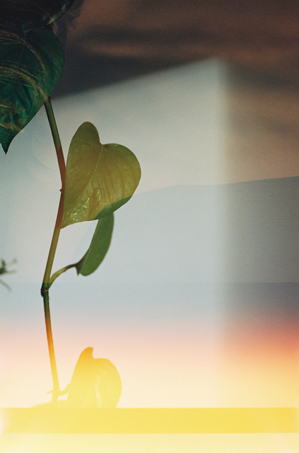Annelie Bruijn, ‘Radiance’, 2019, ElliottHalls