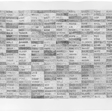 Willem Boshoff, Word Woes (2014)