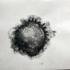 Jenna Hannum