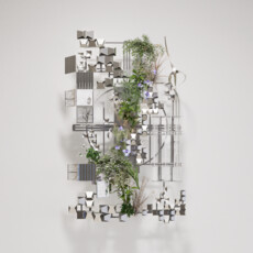 Queena Wang