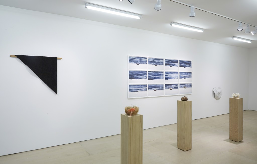 Installation view: Ordering Nature
New York, BOESKY EAST, June 12 – July 31, 2015
Photo credit: Jason Wyche Installation view: Ordering Nature
New York, BOESKY EAST, June 12 – July 31, 2015
Photo credit: Jason Wyche