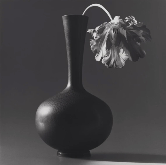 Robert Mapplethorpe, ‘Parrot Tulip in Black Vase’, 1985, Susan Sheehan Gallery
