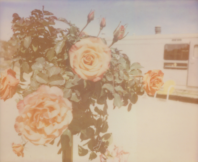 Stefanie Schneider, ‘A Sunny Morning II (The Girl behind the White Picket Fence)’, 2013, Photography, Digital C-Print based on a Polaroid, not mounted, Instantdreams