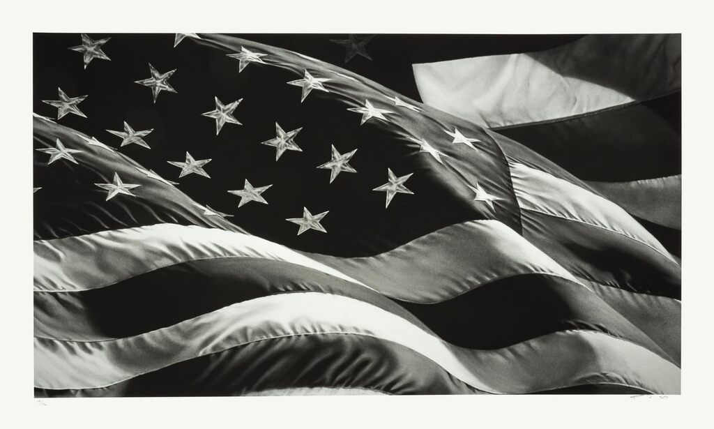 Robert Longo - Untitled (Flag)