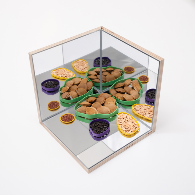 Audrey Cottin, ‘Mirror Box (#5)’, 2019, Installation, Wood, plexiglass mirror, glue and seeds, Tatjana Pieters