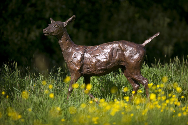 Mark Coreth, ‘Fallow deer, doe’, 2010, Sladmore