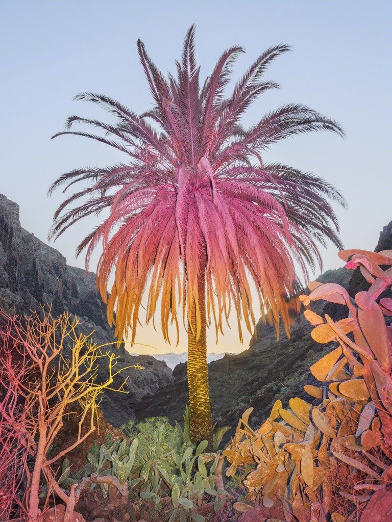 Inka & Nicola, ‘4K ULTRA HD (Tropical)’, 2018, Photography, Archival pigment print, Brownie Project